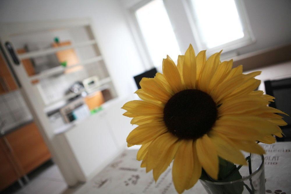 Appartement White House Ehrenfeld *